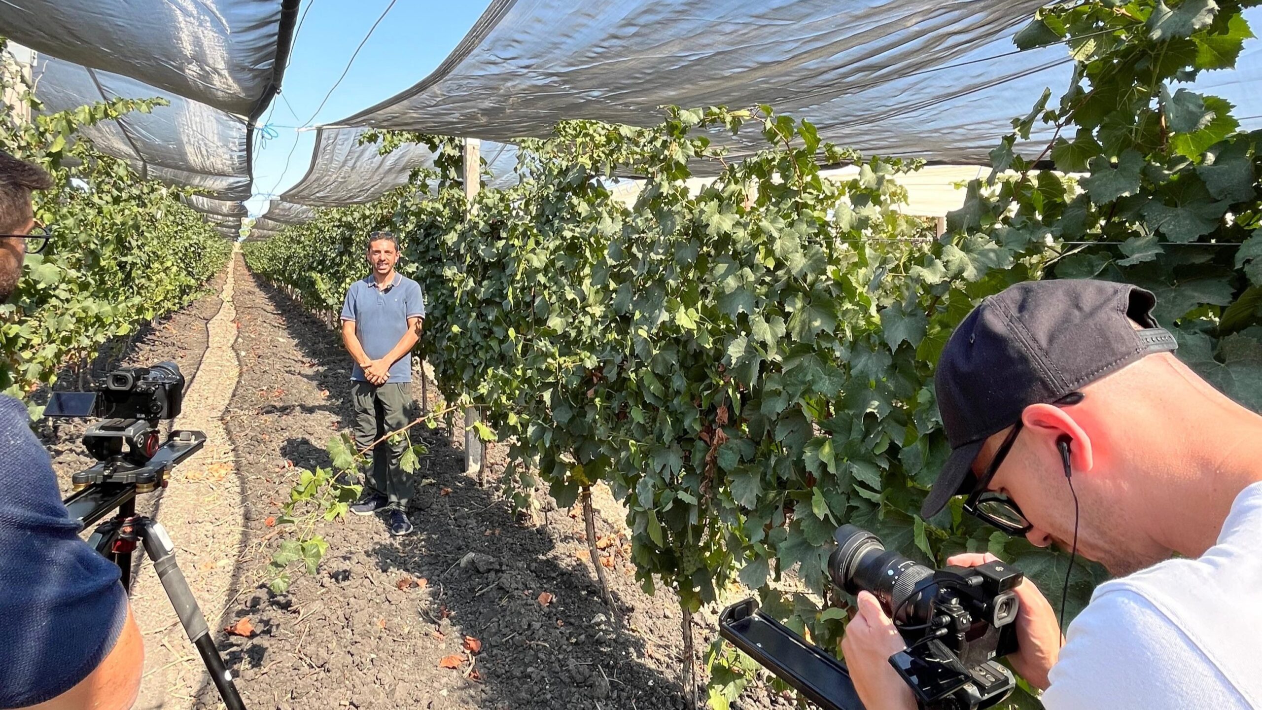 Arrigoni_DavidePacifico|Arrigoni_DavidePacifico1|Arrigoni_Robuxta|Vigne Plus System_Arrigoni